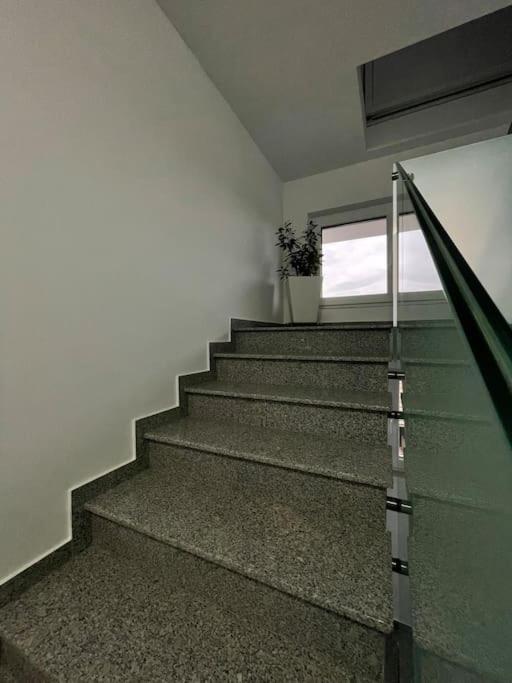 Apartament Timisoara 6 Eksteriør billede